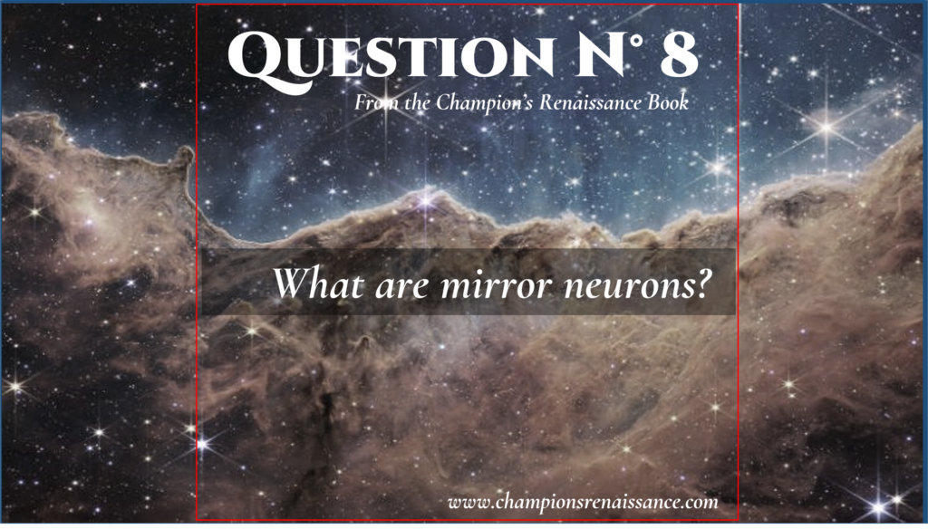 Q-8:   MIRROR NEURONS